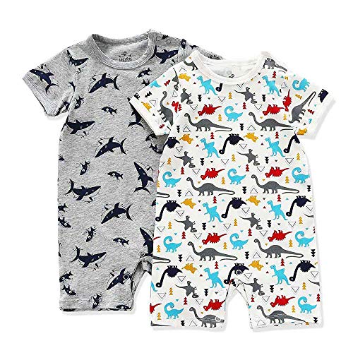 Dragon & Shark