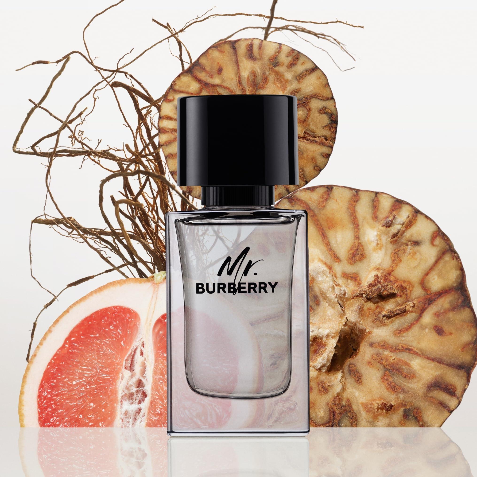 Burberry Mr. Burberry Eau de Toilette for Men - Woody Cologne with Grapefruit, Cardamom, Vetiver & Guaiac Wood Notes - Long Lasting Fragrance Spray - Perfect for Date Night, Office & Special Occasions