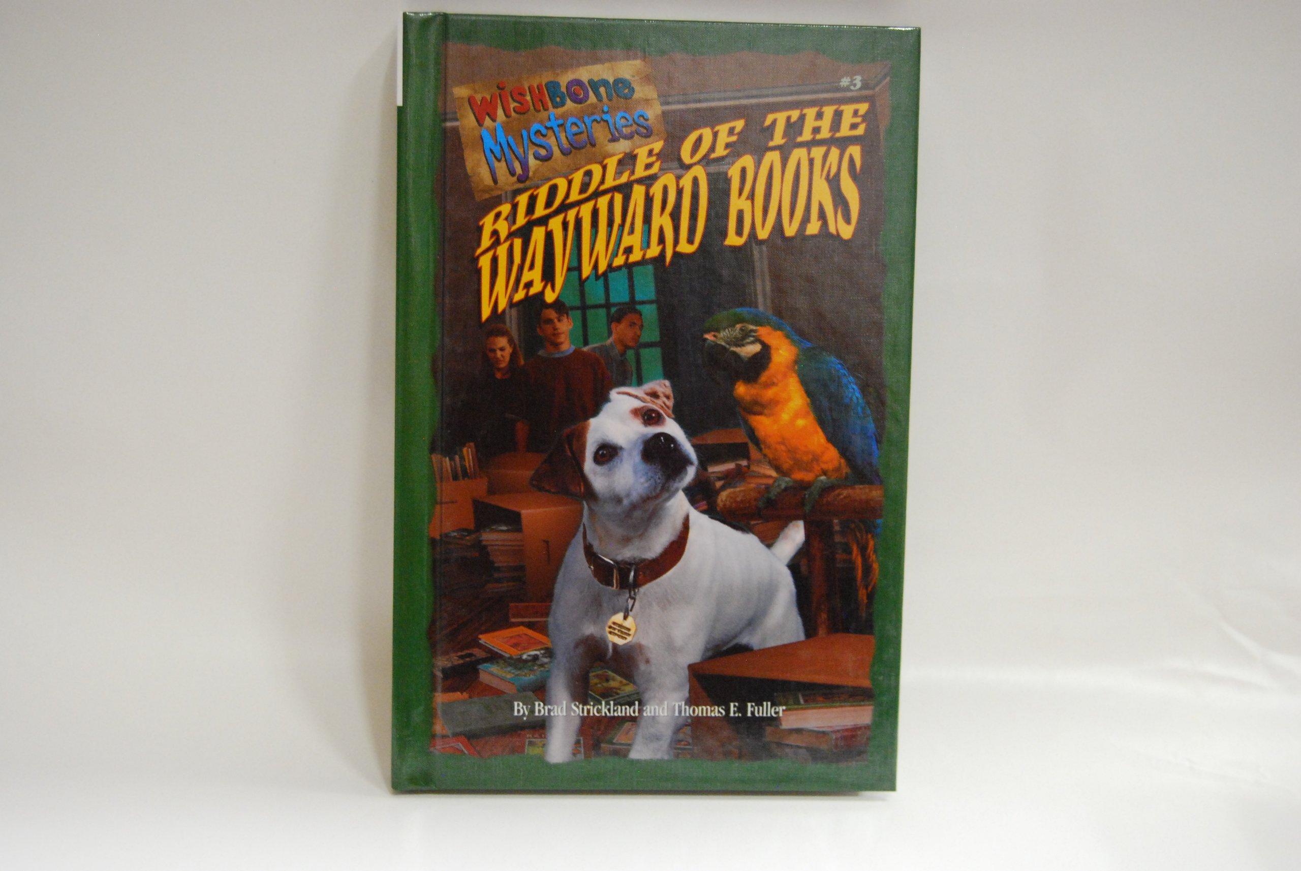 Wishbone Mysteries: Riddle of the Wayward Books - Kids Adventure Story