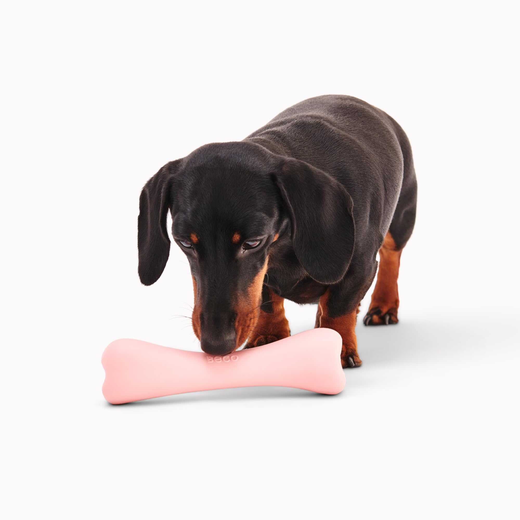 Beco Natural Rubber Dog Chew Bone Toy with Treat Hole - Durable Enrichment Chewing Toy for Small Medium Large Dogs - Perfect for Teething, Boredom Relief & Interactive Playtime