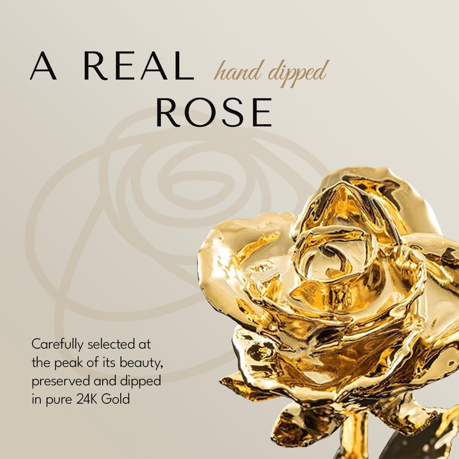 24K Gold Dipped Real Forever Rose - Luxury Laser Engraved Everlasting Rose Gift for Women & Men | Anniversary, Valentine's Day, Wedding Proposal Romantic Gift Idea