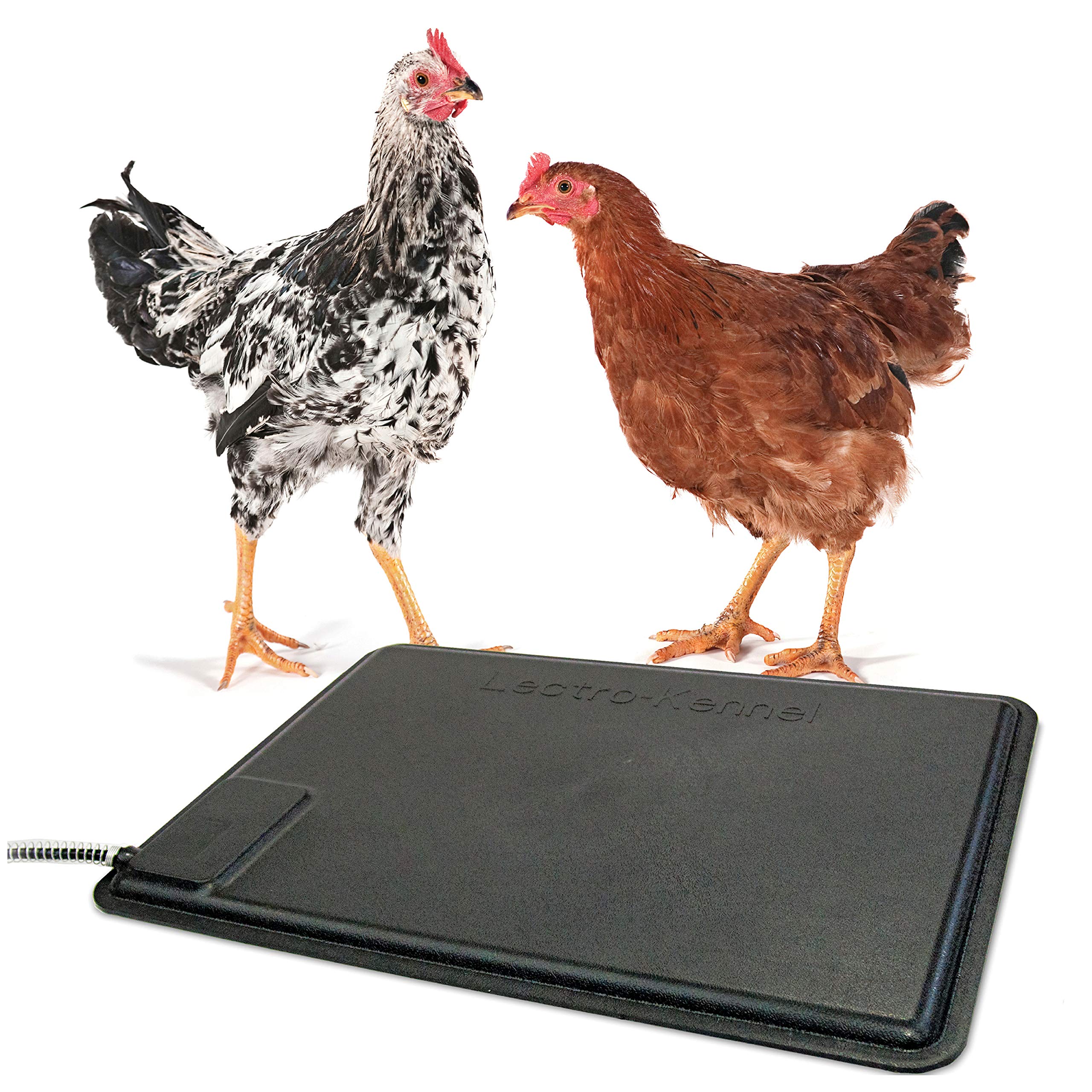 K&H Heated Chicken Pad - 40W Safe Thermo Pad for Poultry Coop - Perfect for Winter Warmth