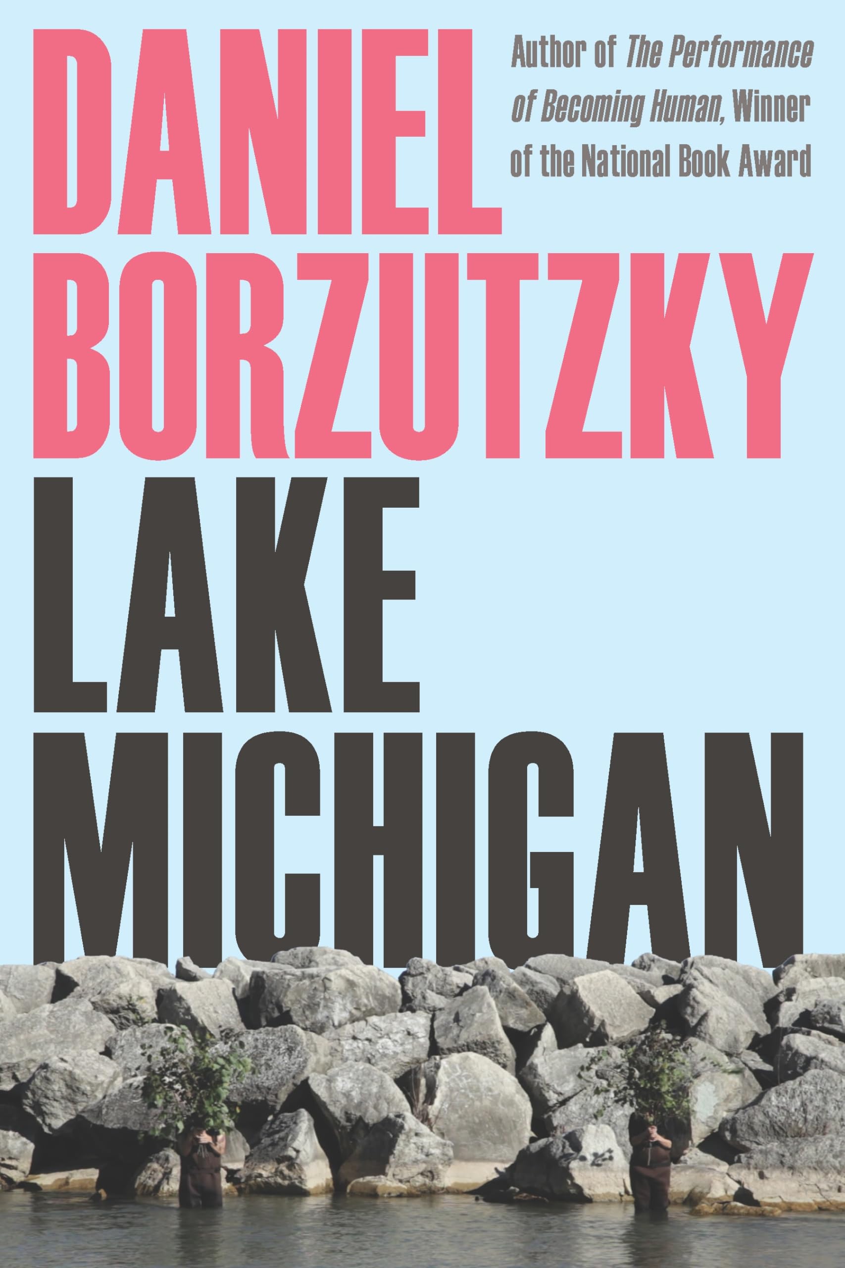 Lake Michigan (Pitt Poetry Series) - Award-Winning Poetry Collection | Contemporary American Literature | Perfect for Book Clubs & Literary Enthusiasts