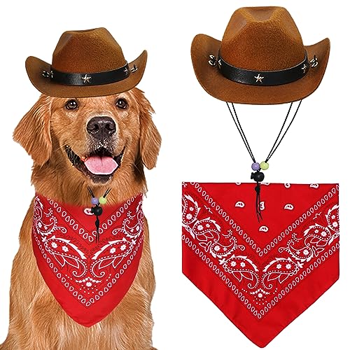 Brown Hat & Red Bandana