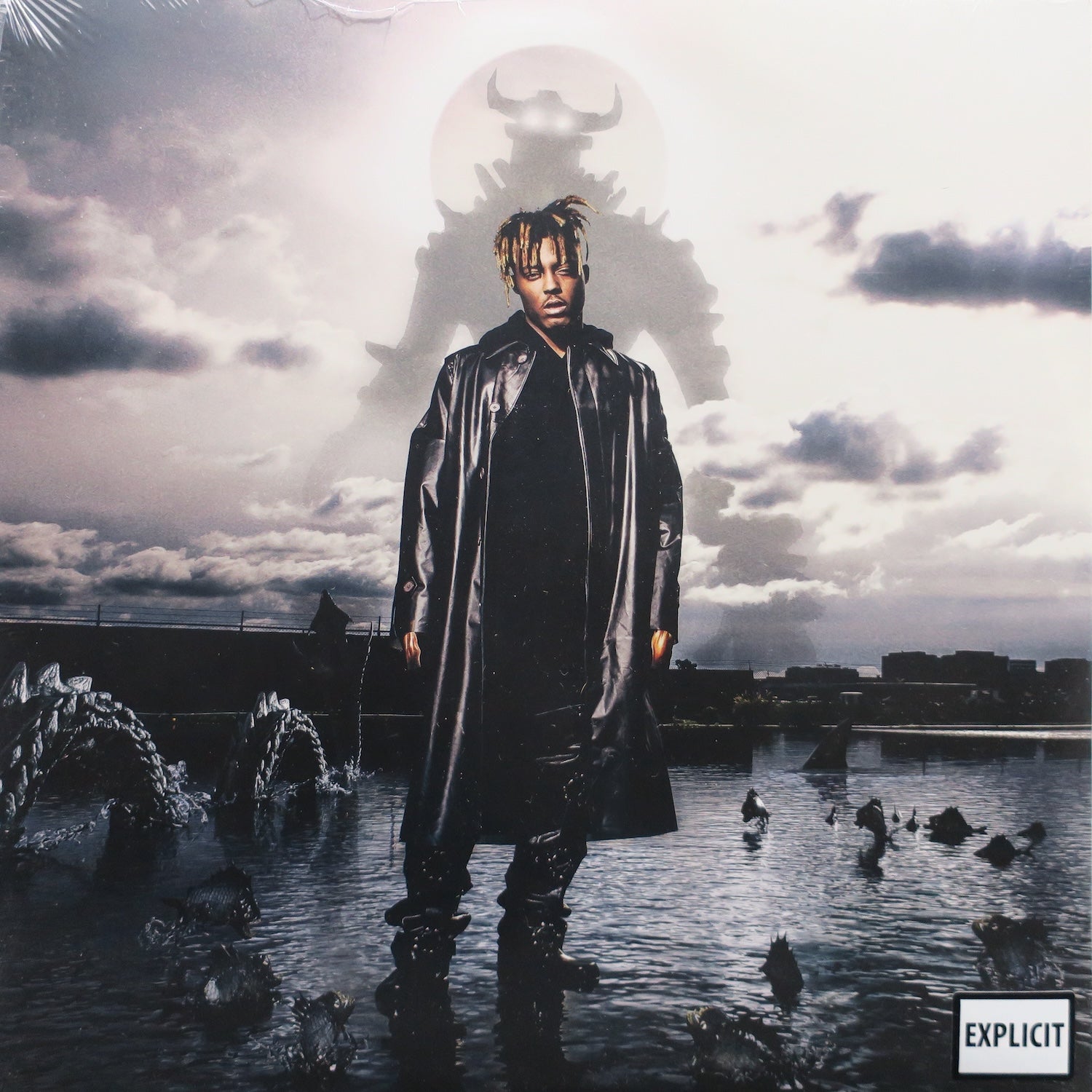 JUICE WRLD 'Fighting Demons' Limited Edition Vinyl 2LP Record - Perfect for Music Collectors & Home Listening Sessions
