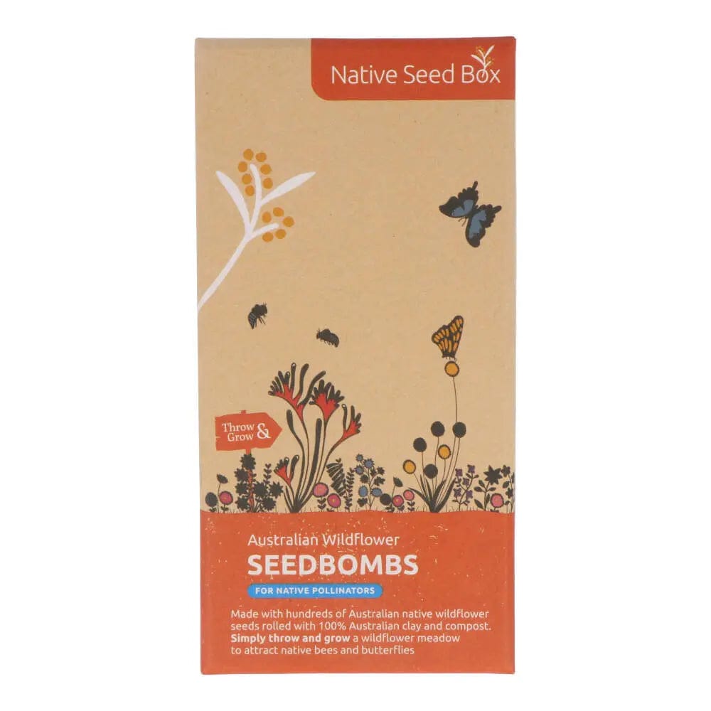 Native Seed Box Seed Bomb Collections - Wildflower & Herb Seed Bombs for Eco-Friendly Gardening, Pollinator Gardens & DIY Landscaping