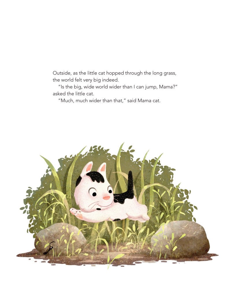 Sabine Bohlmann: How Far are the Stars? Illustrated by Emilia Dziubak - Children's Astronomy Book for Bedtime Reading & STEM Learning