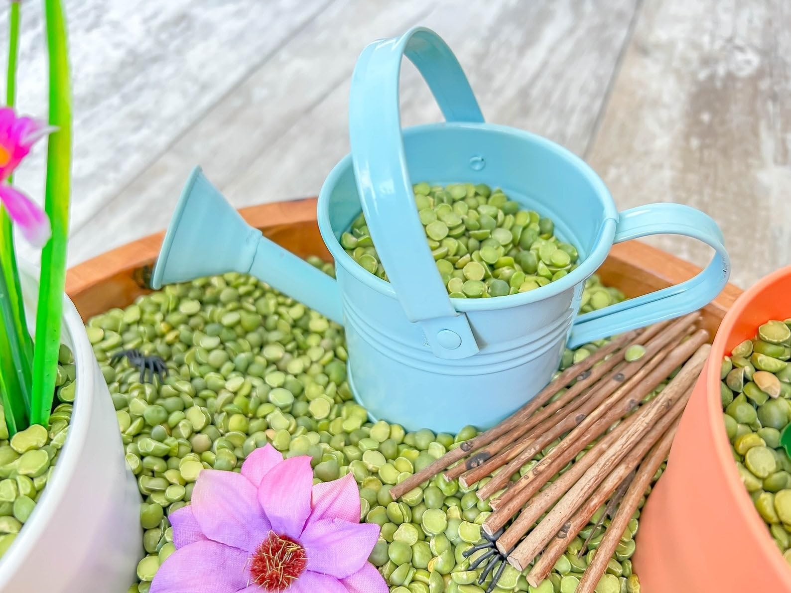 Montessori Sensory Bins for Kids - Gardening Themed Sensory Toys for Preschoolers | Educational Learning Activities for Toddlers & Classroom Play