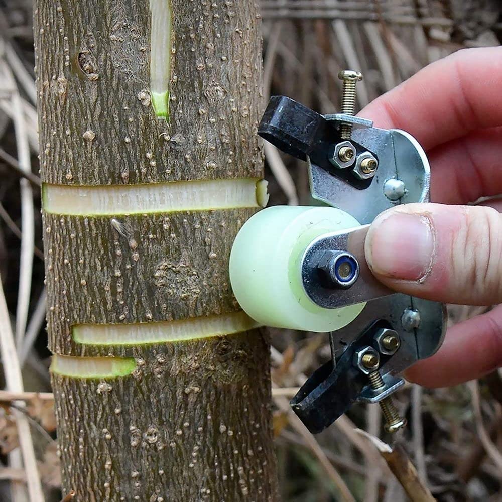 Adjustable Bark Stripping Peeling Tool with Pulley - Girdling Cutter Shears for Fruit Trees - Professional Garden Pruning Scissors for Winter Tree Care - Perfect for Orchards, Vineyards & Landscaping