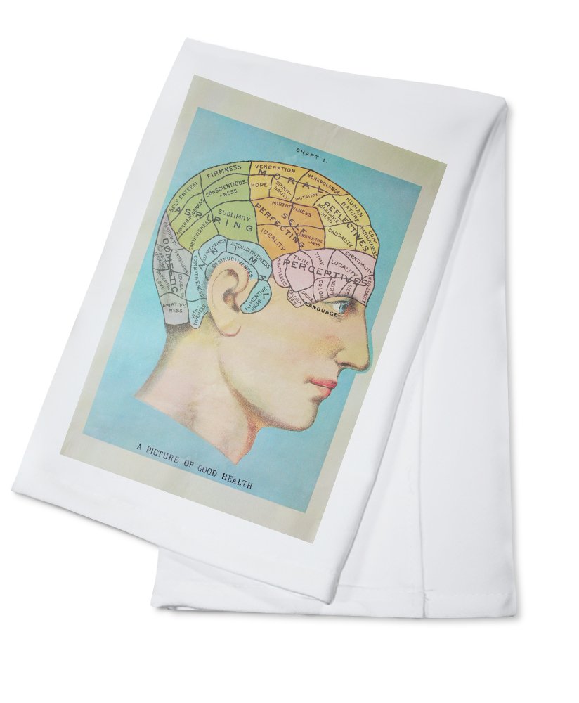 Vintage Cognitive Science Lithograph Tea Towel - 100% Cotton Decorative Hand Towel for Kitchen & Home | Perfect for Gift, Wall Art & Vintage Decor