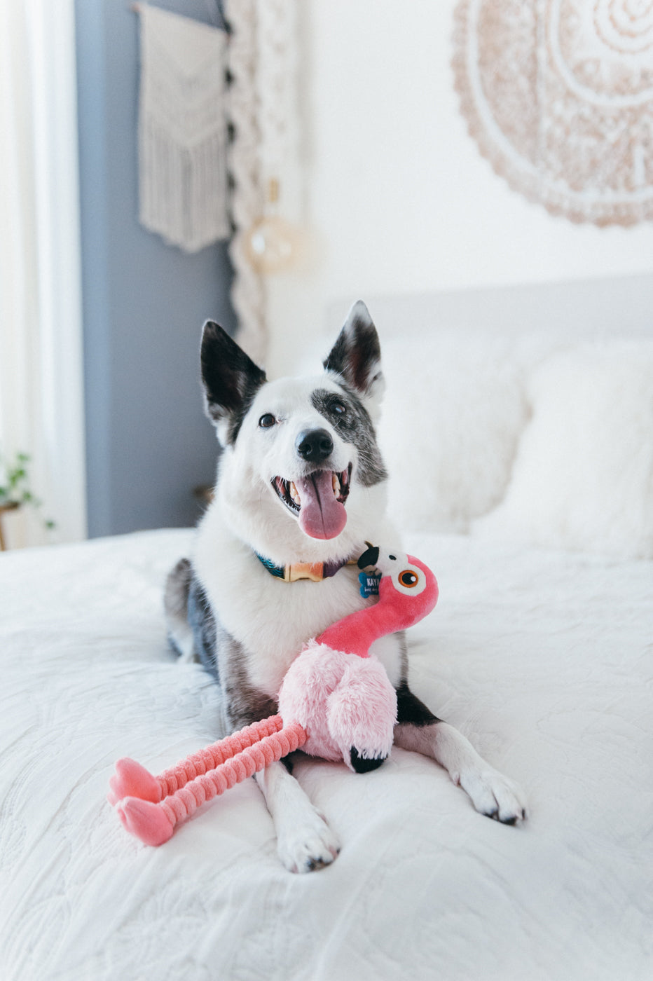 Flora the Flamingo Plush Dog Toy - Soft & Durable Fetching Flock™ Chew Toy for Small & Medium Dogs | Perfect for Playtime, Training & Cuddling | Pet P.L.A.Y.