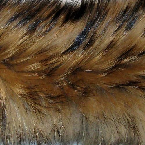 Dyed Raccoon