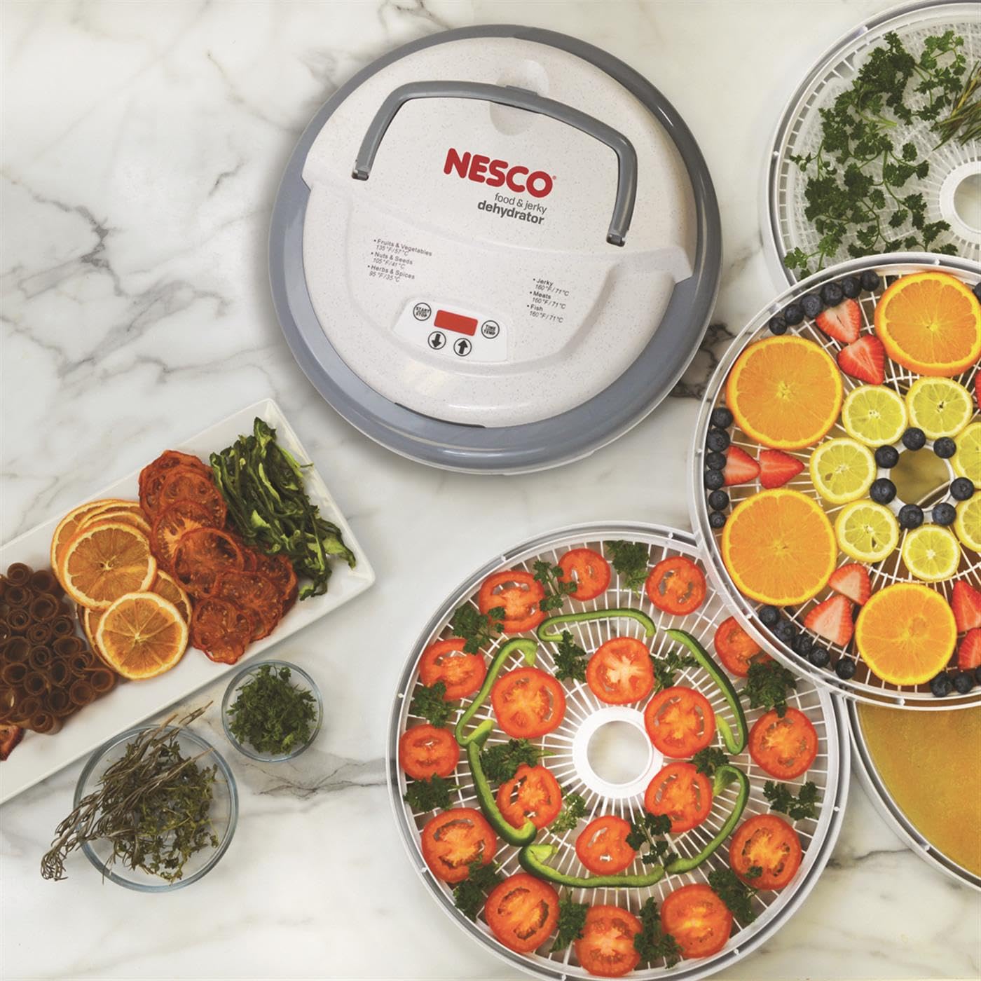 Nesco FD-79 Snackmaster Pro Digital Food Dehydrator - 4 Trays for Healthy Snacks, Fruit, Beef Jerky, Meat, Vegetables & Herbs | Perfect for Home, Camping & Meal Prep | Grey (1 Pack)