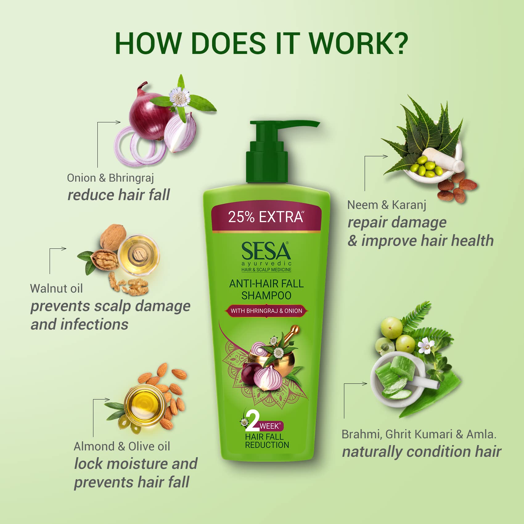 SESA Ayurvedic Anti Hairfall Shampoo for Dry & Frizzy Hair - 500ml | Reduces Hair Loss with 6 Natural Herbs | Paraben & Sulfate Free | Ideal for Daily Hair Care & Scalp Nourishment