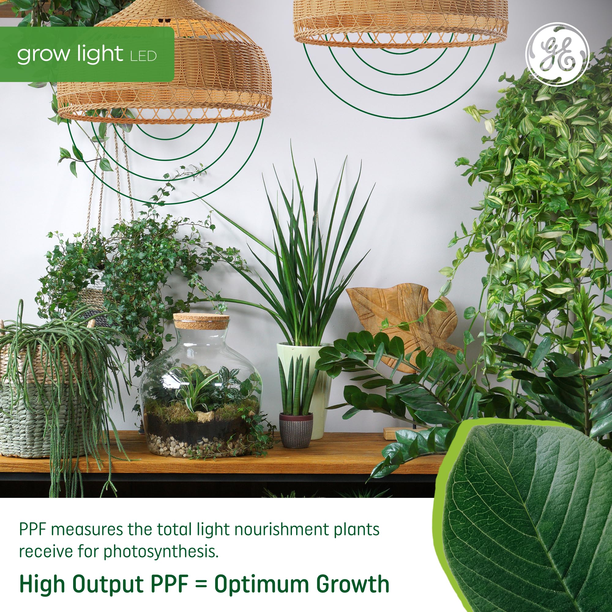 GE T8 LED Grow Lights for Indoor Plants - Full Spectrum with Advanced Red Light for Flowers & Fruits, 34 PPF, 48 Inch (6 Pack) - Perfect for Hydroponics, Greenhouses & Home Gardening (25,000 Hours Lifespan)