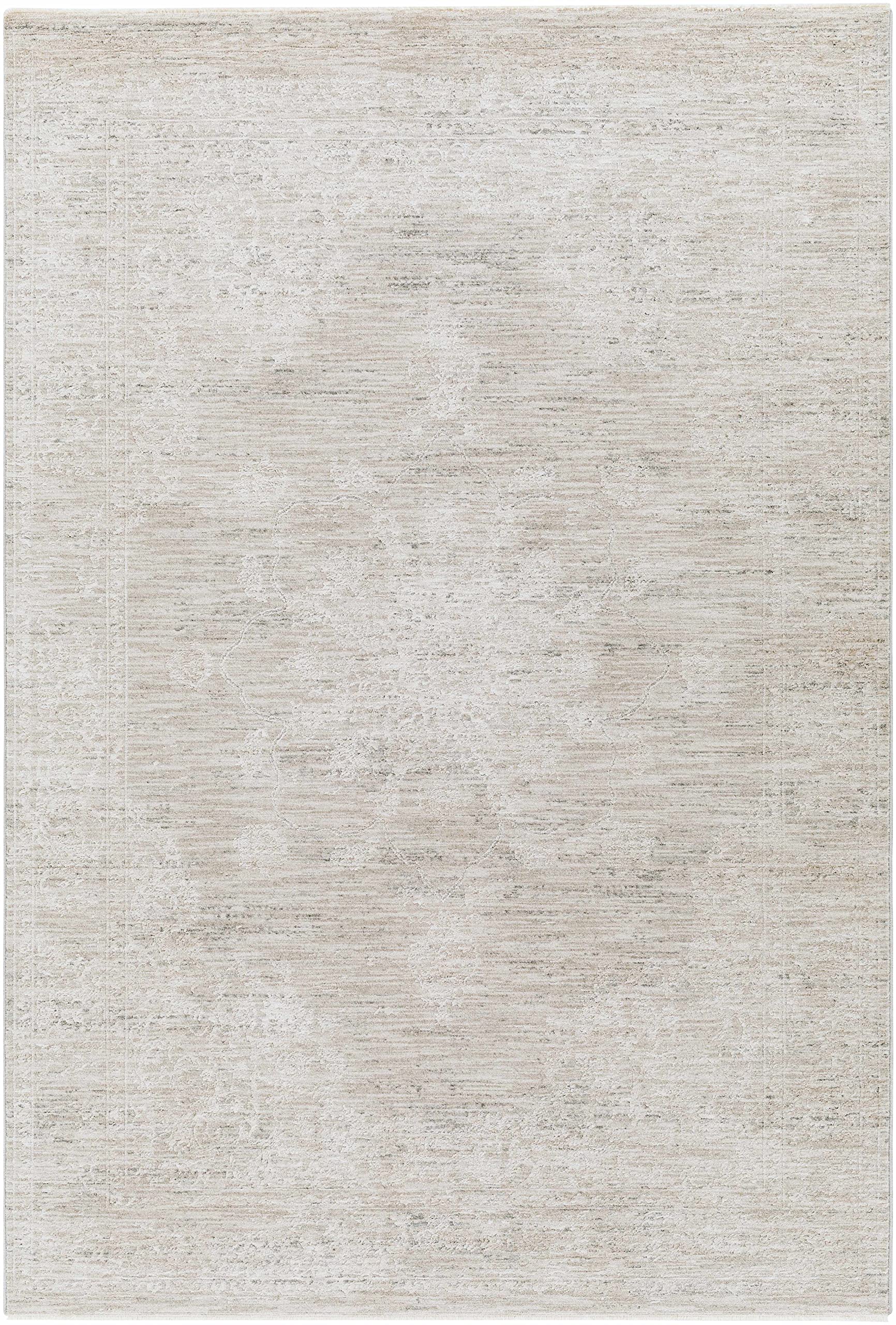 Hauteloom Monto Traditional Gray and Beige Area Rug 5' x 7'5