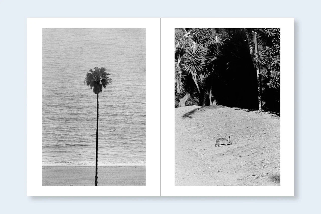 Los Angeles x Shinjuku Photography Book - Daido Moriyama & Avo Tavitian Street Photography Collection | Urban Exploration, Travel Inspiration, Photography Enthusiasts Gift