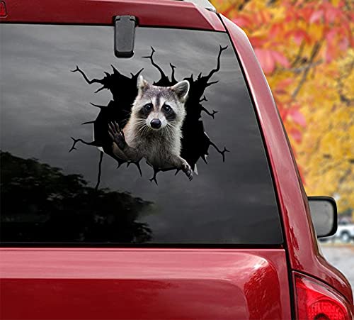 3 Pack Cute Raccoon Car Stickers - 10