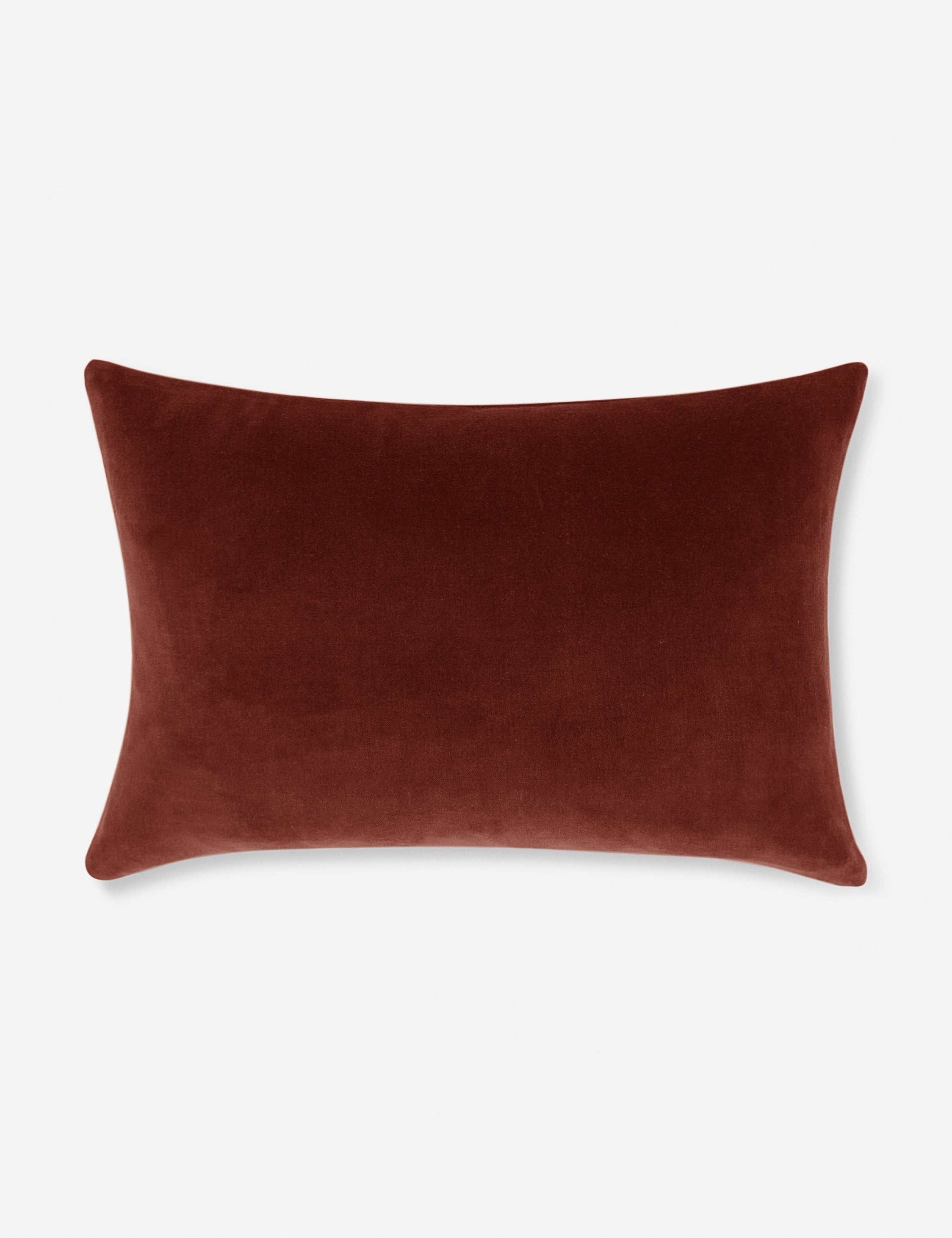 Charlotte Velvet Pillow - Soft Luxury Decorative Throw Pillow for Sofa, Bed & Couch - Perfect for Living Room, Bedroom & Home Decor