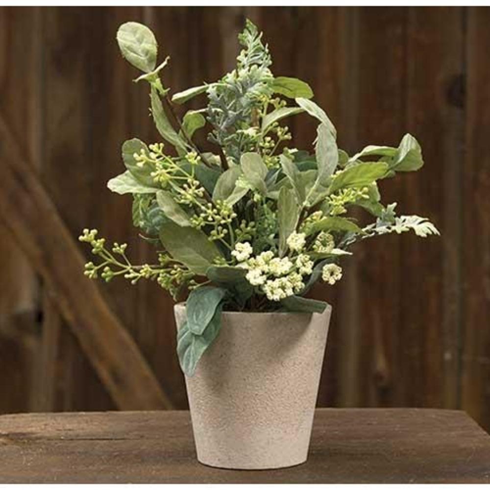 Premium Mixed Lamb's Ear with Pot - Natural Home Decor for Rustic & Boho Style - Perfect for Table Centerpieces, Wedding Decor, and DIY Floral Arrangements