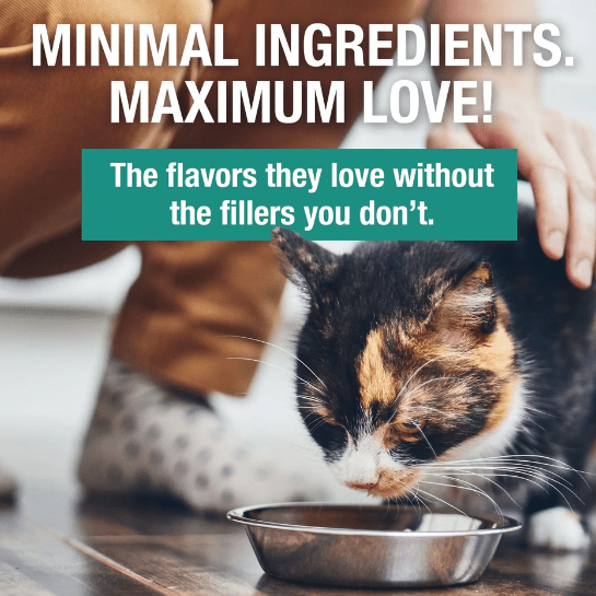 KOHA LID Rabbit Pate Grain-Free Canned Cat Food - Limited Ingredient Diet, High Protein Wet Food for Cats with Sensitive Stomachs - Perfect for Indoor Cats & Kittens with Allergies