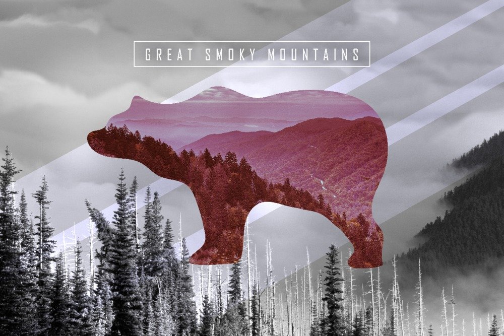 Great Smoky Mountains Pink Bear Photo Overlay - 36x54 Inch Giclee Gallery Print - Travel Poster Wall Art Decor for Living Room, Bedroom & Office