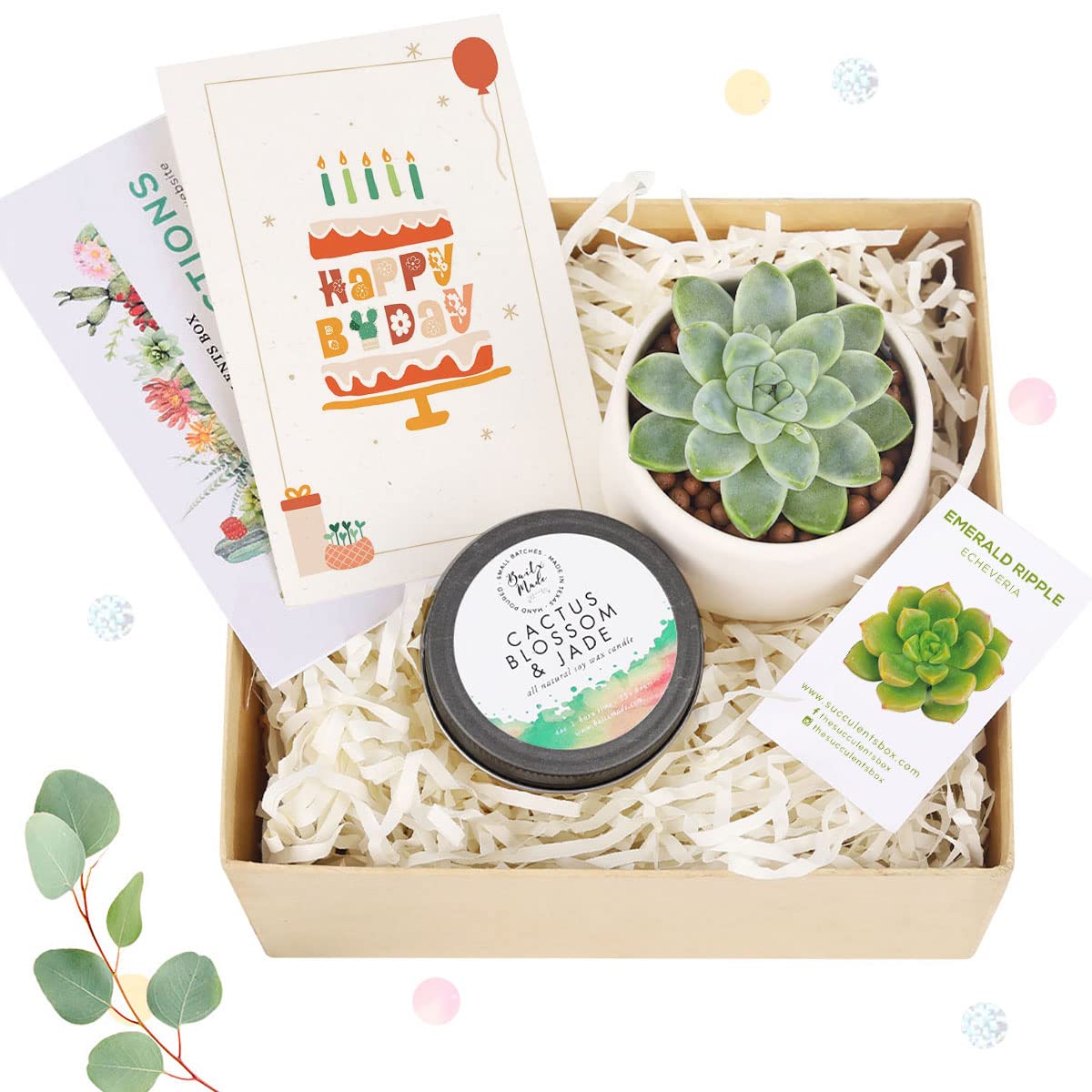Eco-Friendly Gift Box Set - 1 Live Succulent Plant & 1 Natural Soy Candle with Birthday Card | Perfect for Housewarming, Anniversary & Self-Care Gifts