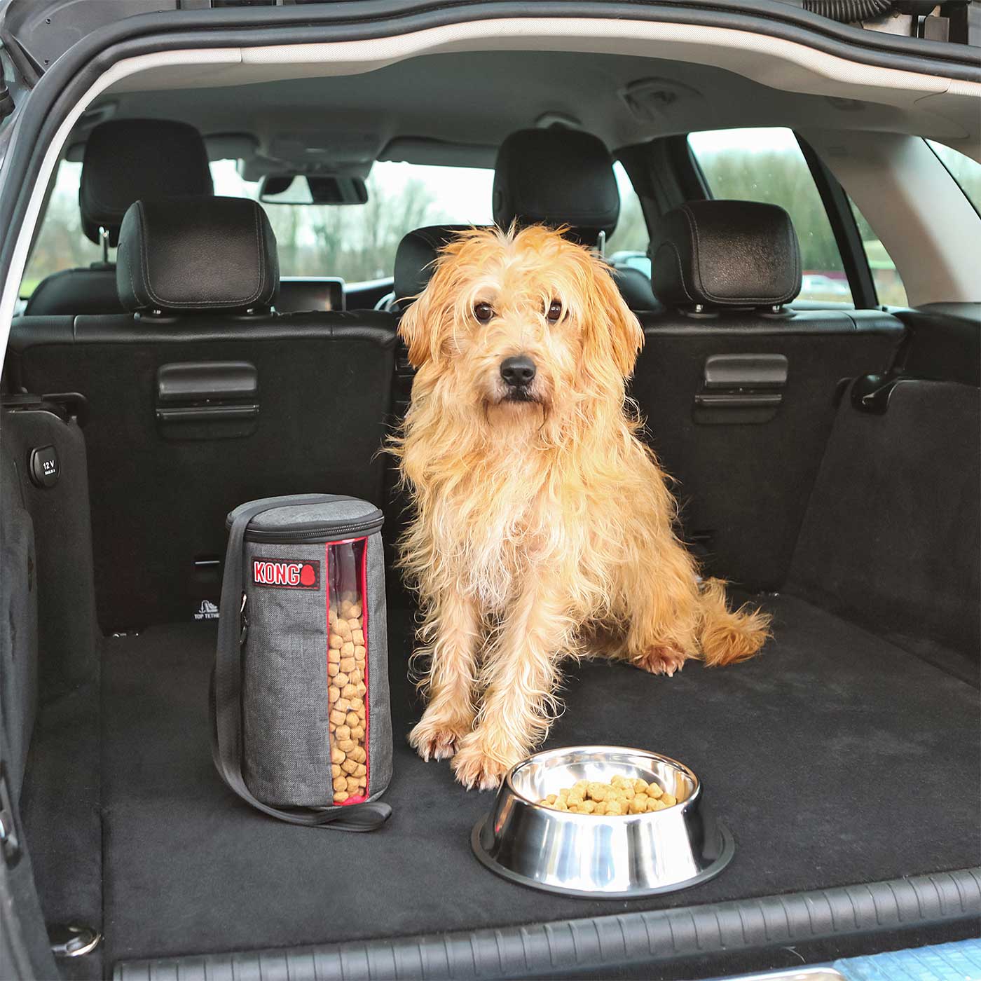 KONG Kibble Storage Bag - Airtight Dog Food Container for Freshness | Perfect for Travel, Camping & Home Storage