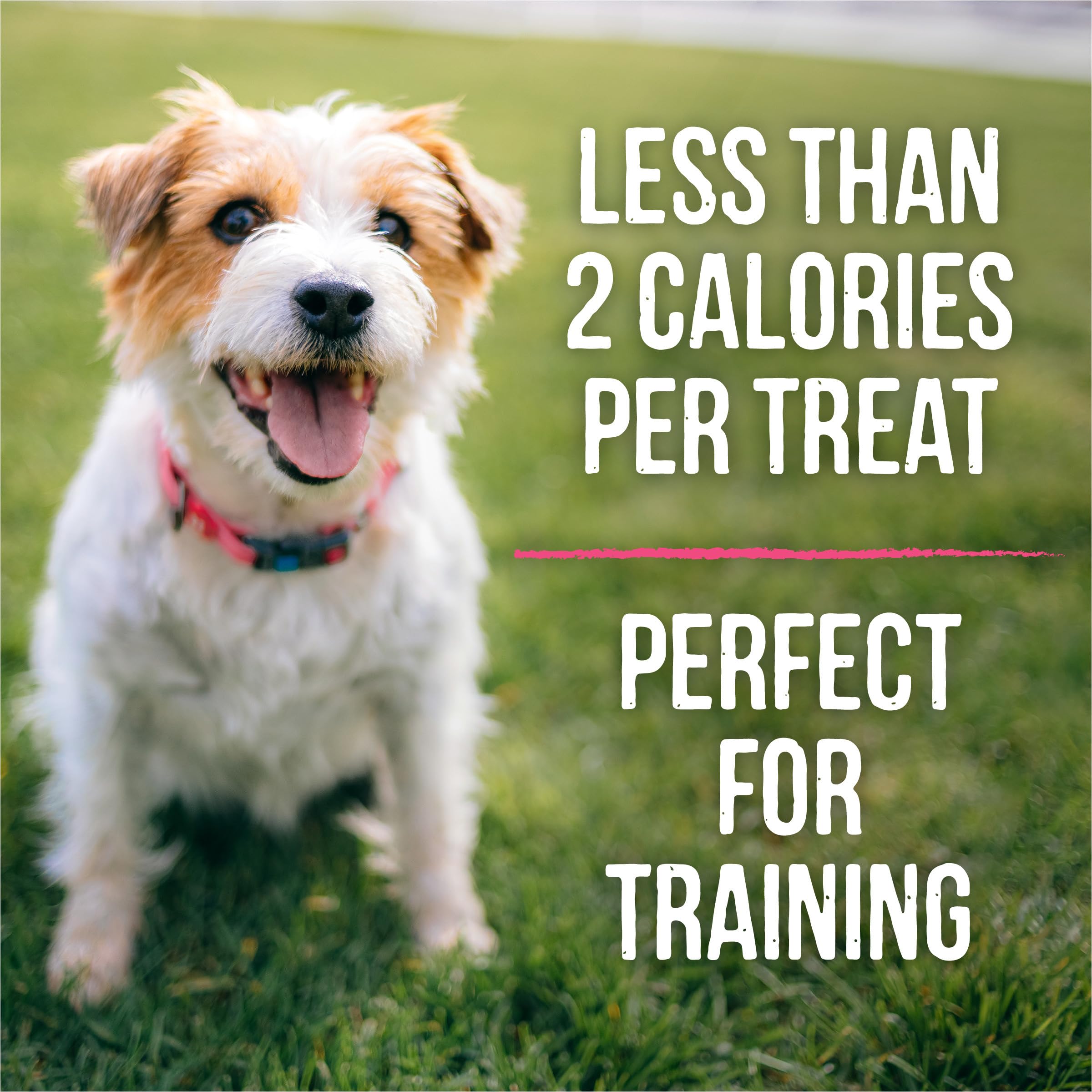 **Merrick Lil’ Plates Grain-Free Small Dog Treats - Natural Training Treats for Small Dogs, Salmon Recipe, 5 oz Pouch - Perfect for Puppy Training & Rewards**