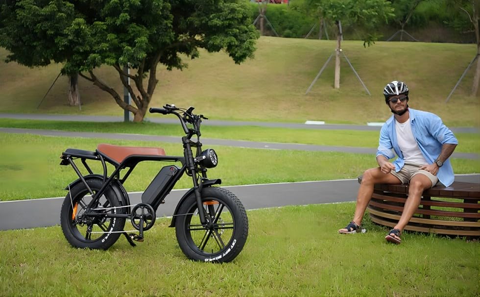**V8 Electric Bike for Adults - 750W Fat Tire E-Bike with 48V 15Ah Removable Battery, 20