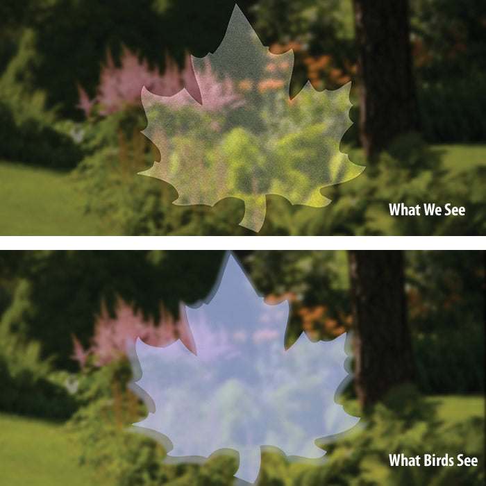 Duncraft Bird Safe® Maple Leaf Window Decals - Prevent Bird Collisions, UV-Resistant & Weatherproof for Home & Office Windows (Set of 6) | Perfect for Garden, Patio & High-Rise Buildings