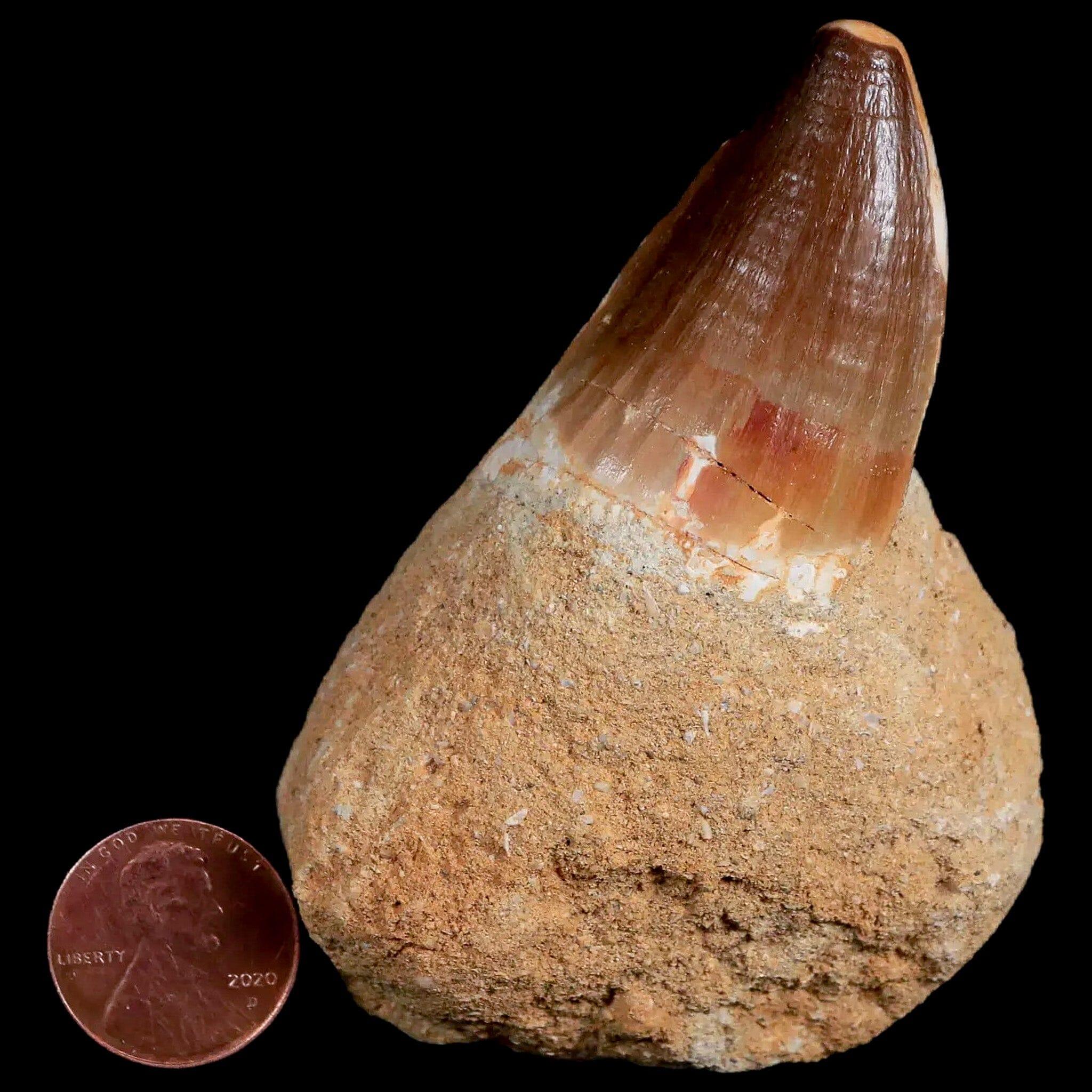 1.7