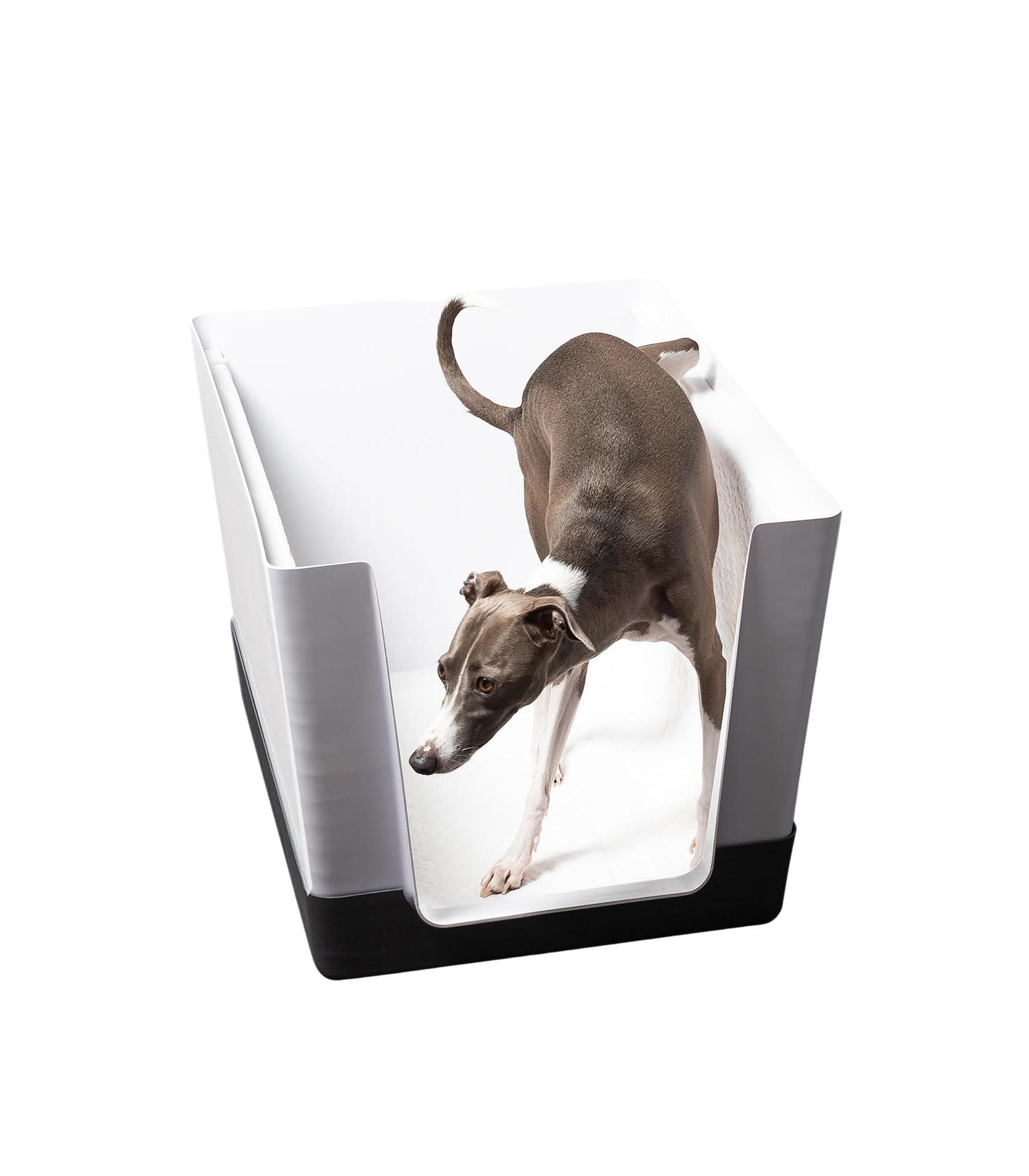 Dog Litter Box with High Walls & Low Entry - Indoor Potty Training Solution for Small Dogs - No Mess Splash Guard & Hygienic Toilet Pad Holder - Perfect for Apartments & Puppy Training (Mini Size, Dark Grey)