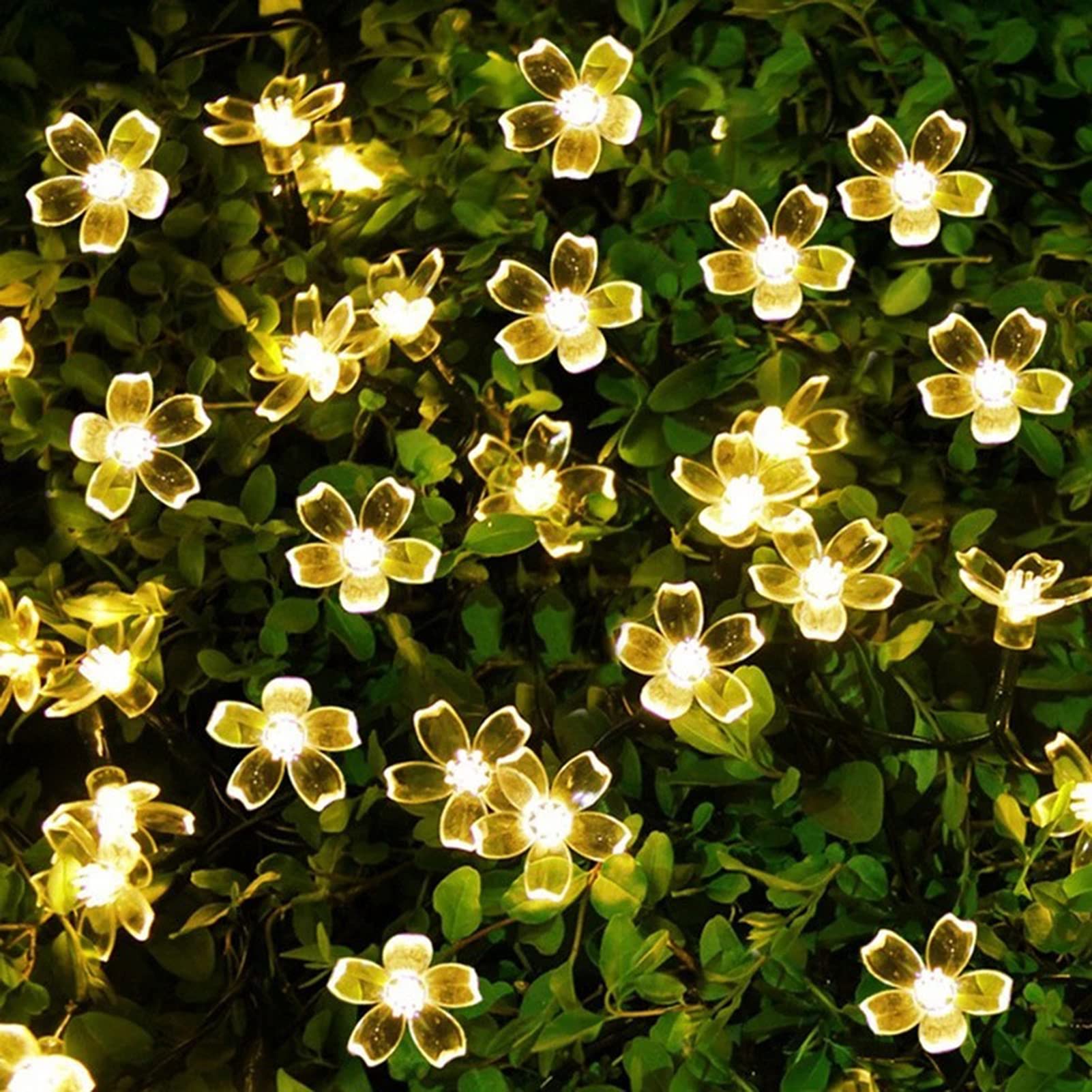 50 LED Solar Cherry Blossom String Lights - 22.97ft Waterproof Outdoor Fairy Lights with 8 Modes | 2 Pack Solar Powered Garden Decor for Patio, Yard, Lawn, Tree, Wedding & Party Decorations