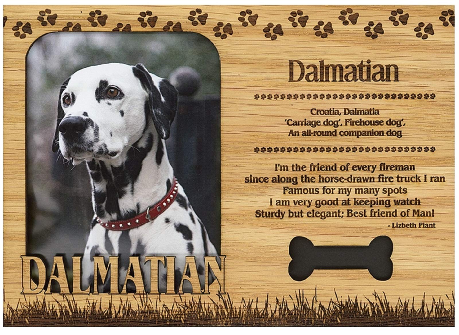 Handcrafted Dalmatian Engraved Wood Picture Frame Magnet - Saddle Mountain Souvenir - Perfect for Refrigerator, Office Decor & Travel Memories