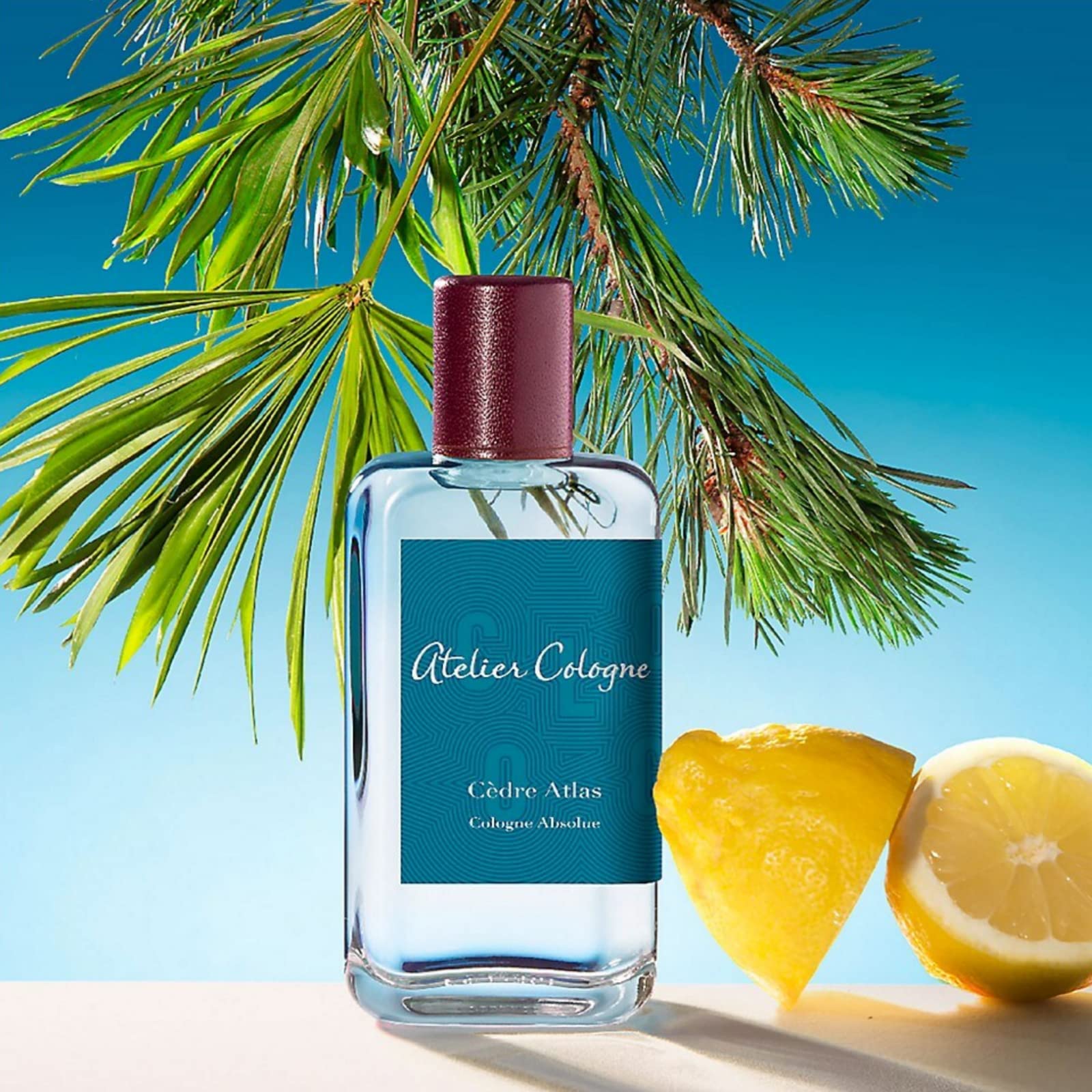 Atelier Cologne Cedre Atlas Cologne for Men & Women - 6.7oz/200ml Eau de Cologne Spray - Luxury Citrus & Woody Fragrance for Everyday Wear, Date Night & Special Occasions