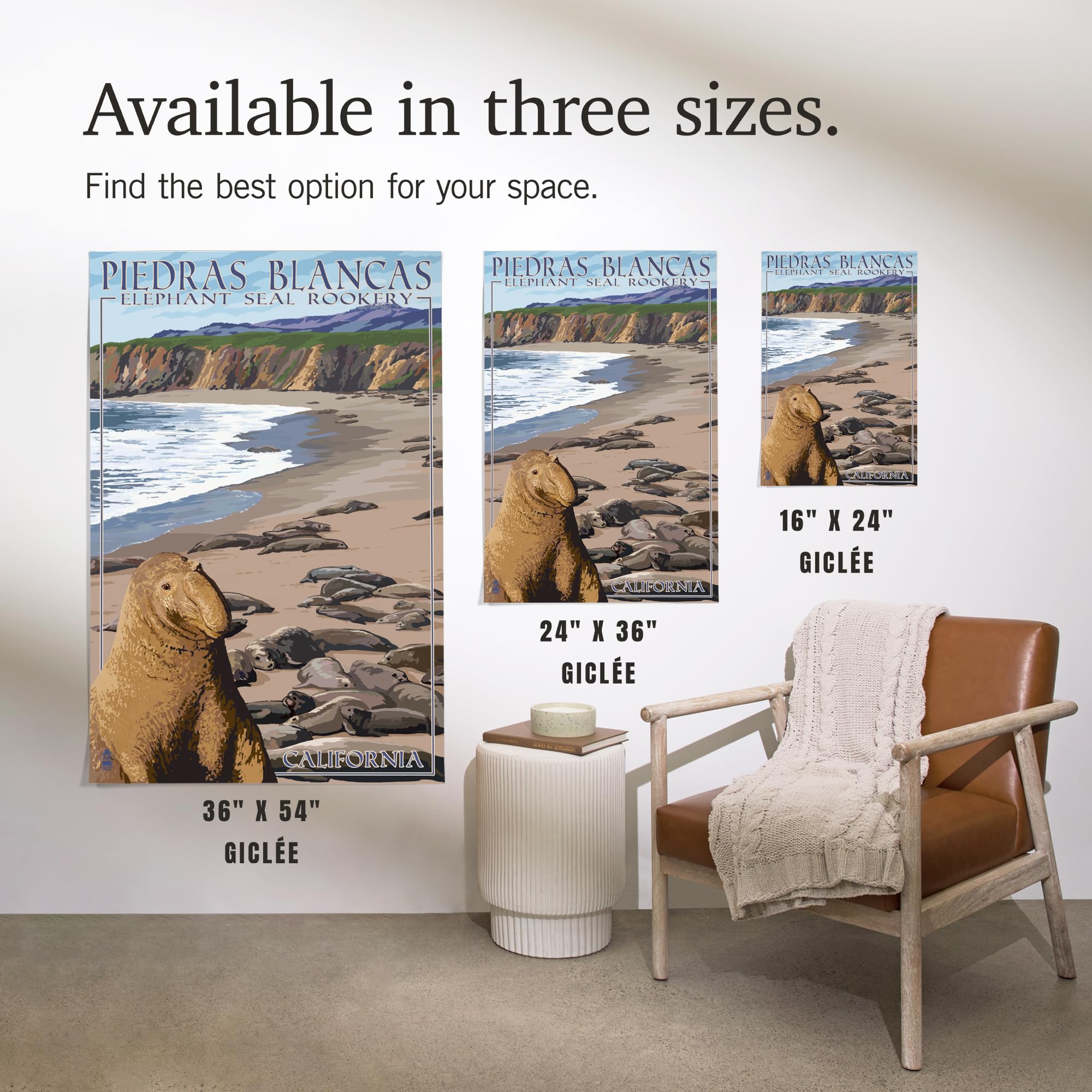 Lantern Press 16x24 Inch Giclee Art Print - California Coastal Landscape with Piedras Blancas Elephant Seals | Premium Wall Decor for Living Room, Office & Beach House