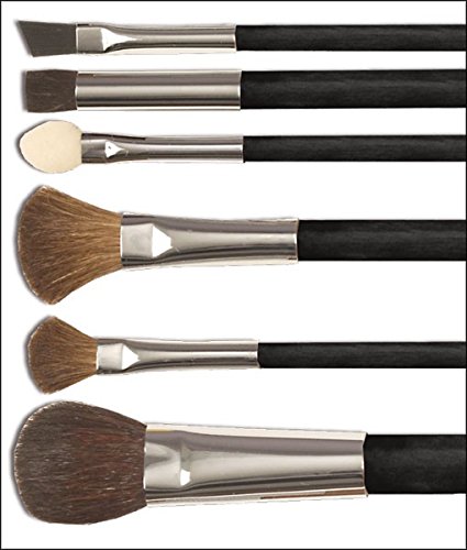Professional Artist Pastel Blender Brush Set of 6 - for Chalk & Charcoal Drawing