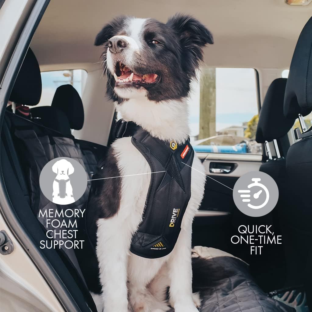 Ezydog Drive Crash Tested Dog Car Harness - FMVSS 213 Certified Adjustable Pet Seat Belt for Safe Travel with Padded Comfort (Medium) - Perfect for Road Trips, Vet Visits & Daily Commutes with Your Dog