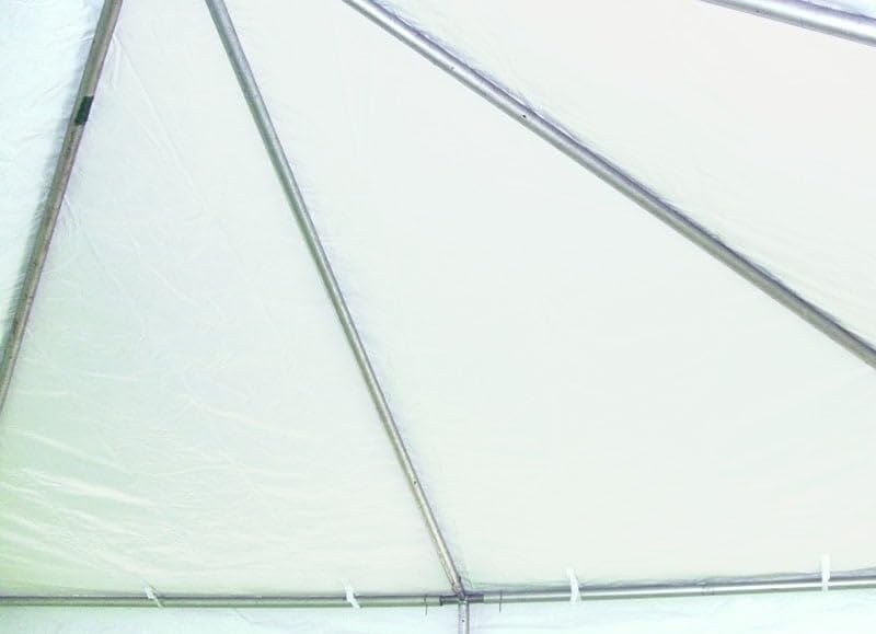 20' x 20' Heavy Duty Waterproof Canopy Tent - Blue/White Commercial Party Tent for 33-80 People | Indoor/Outdoor Frame Canopy for Weddings, Festivals, Farmers Markets & Backyard Gatherings | West Coast Style Waterproof Vinyl Shelter for Events & Vendor Booths