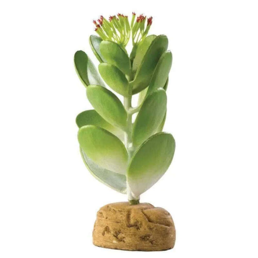 Exo Terra Jade Cactus Terrarium Plant - Realistic Fake Succulent for Reptile Habitat, Desert Decor & Zen Garden - Perfect for Bearded Dragon Tanks, Gecko Enclosures & Home Office Decor