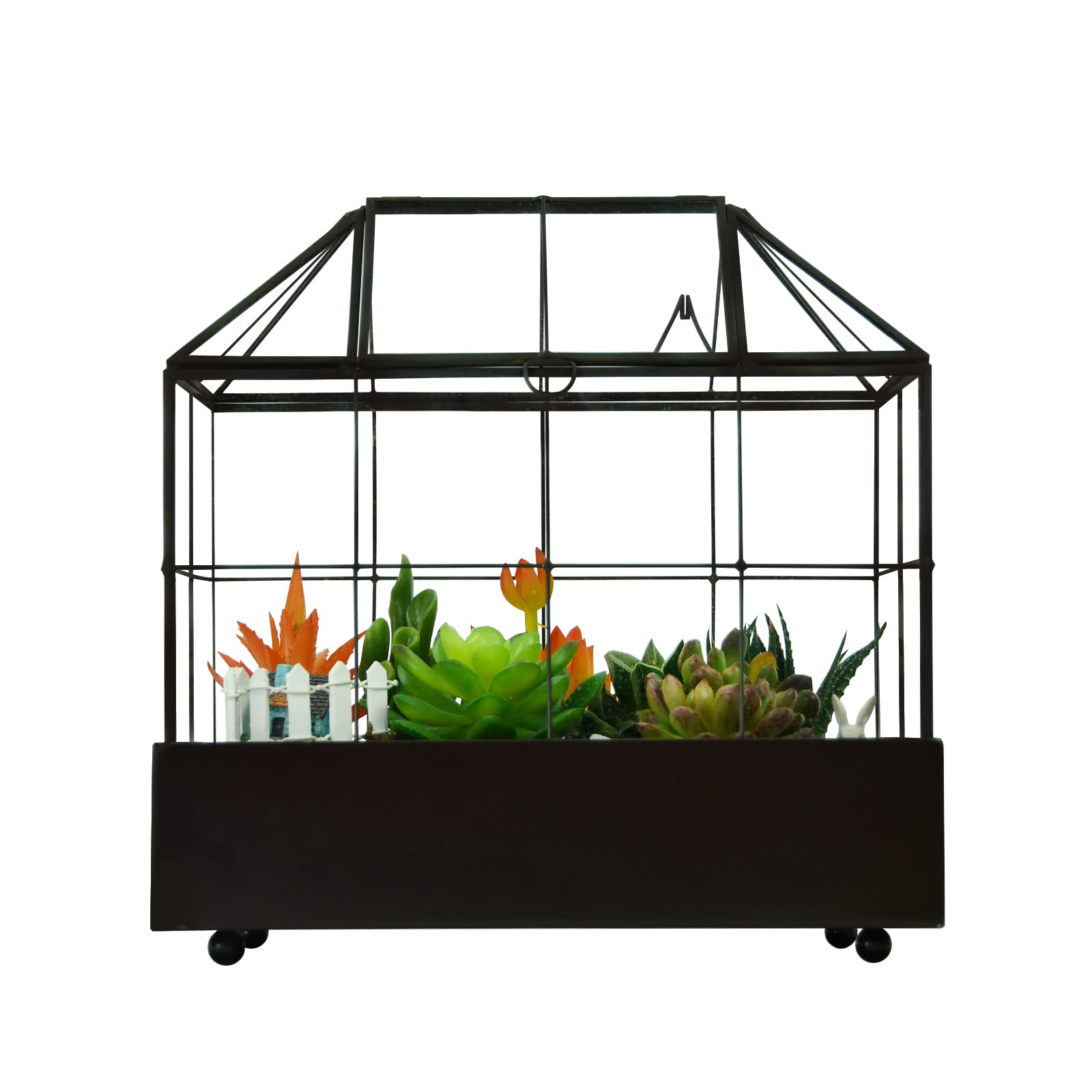 Large Glass Terrarium for Plants - 9.5