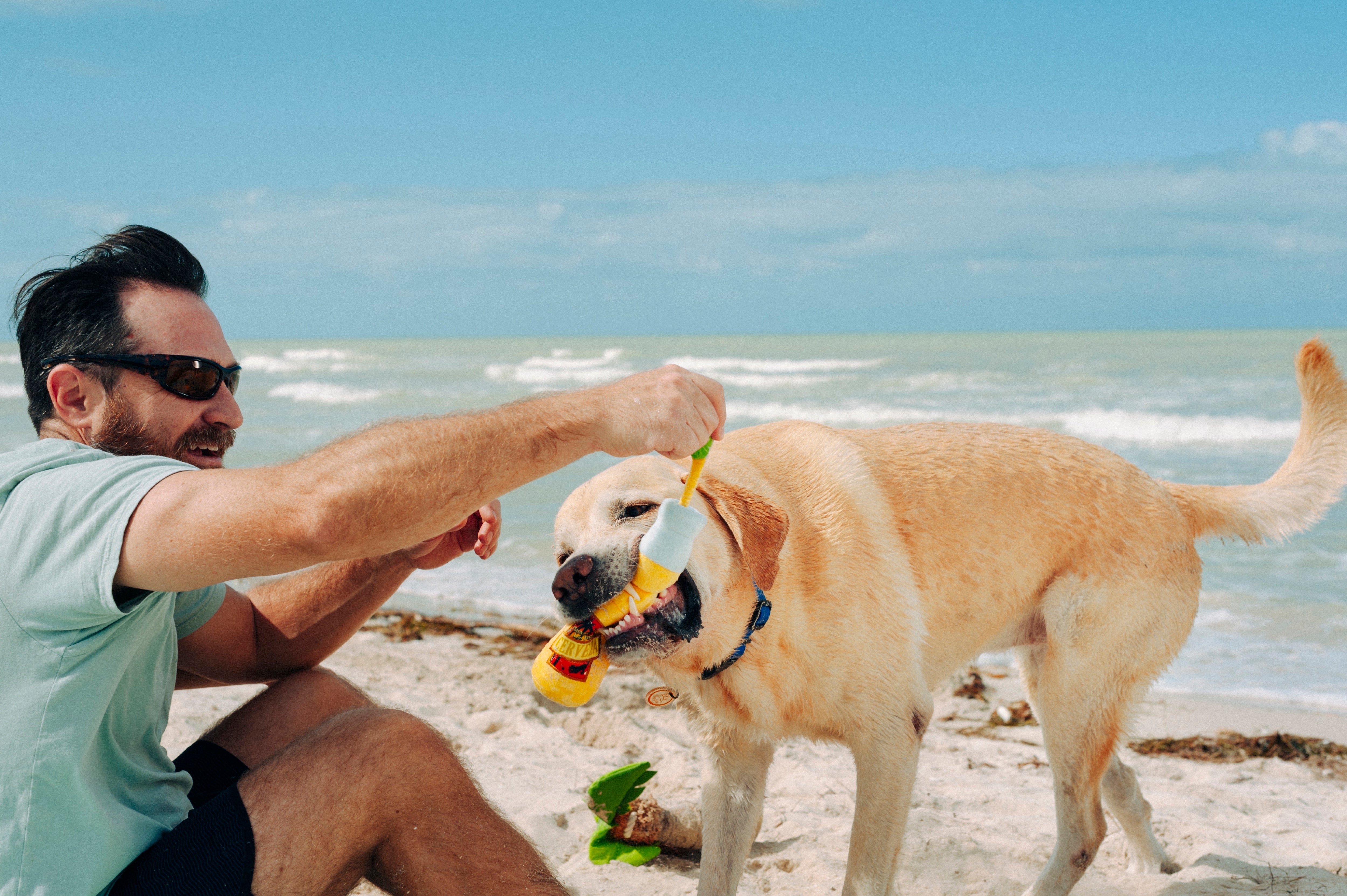 Tropical Paradise™ Dog Plush Toy - La Cerveza Tropical Beer-Shaped Chew Toy for Dogs | Durable & Soft Pet Play Toy for Small, Medium & Large Breeds | Perfect for Playtime, Training & Cuddling