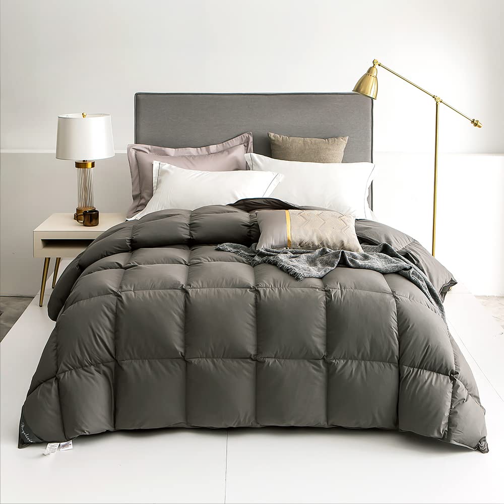 RoyalLiving All-Season Queen Size Feather Down Comforter - 100% Organic Cotton Shell Medium Weight Duvet Insert with Corner Loops (90