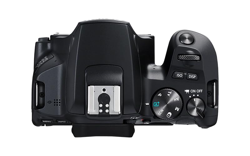 Canon EOS 250D DSLR Camera with EF-S 18-55mm f/4-5.6 IS STM Lens Kit - Perfect for Travel Photography, Vlogging & Beginner Photographers