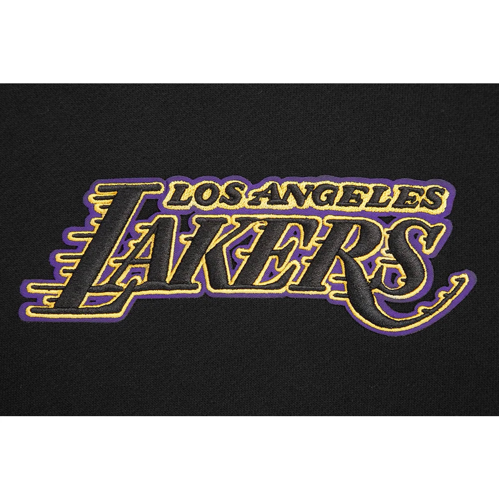 Men's Pro Standard Los Angeles Lakers Wingspan Pullover Hoodie - Black | NBA Fan Gear, Basketball Apparel for Game Day & Casual Wear