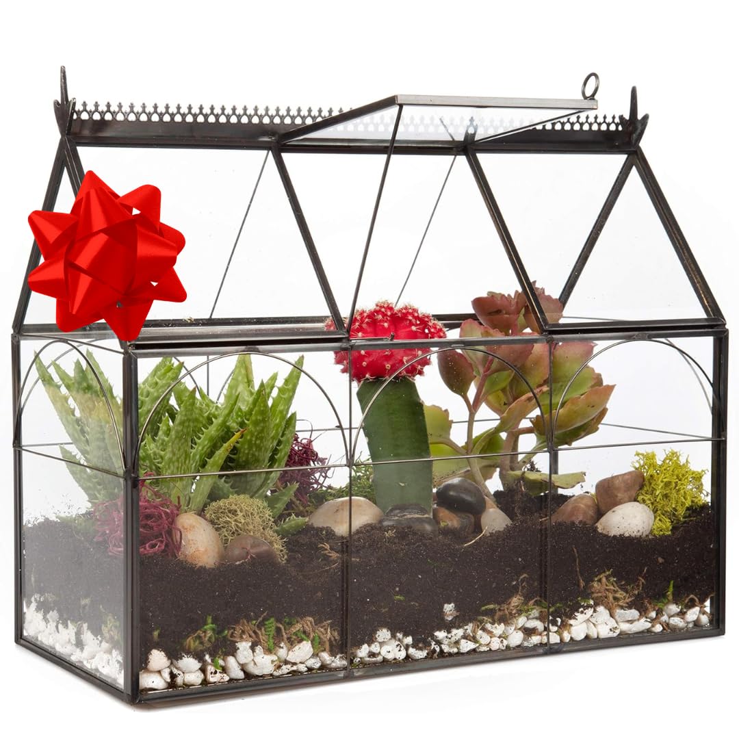 Decorative Glass Greenhouse Terrarium (10x4.5x9 Inches) - Indoor Tabletop Black Hinged Geometric Planter for Succulents, Air Plants, Moss & Ferns - Modern Home, Office & Garden Decor - Perfect Gift for Plant Lovers - Ideal for Windowsills, Desks & Shelf Displays