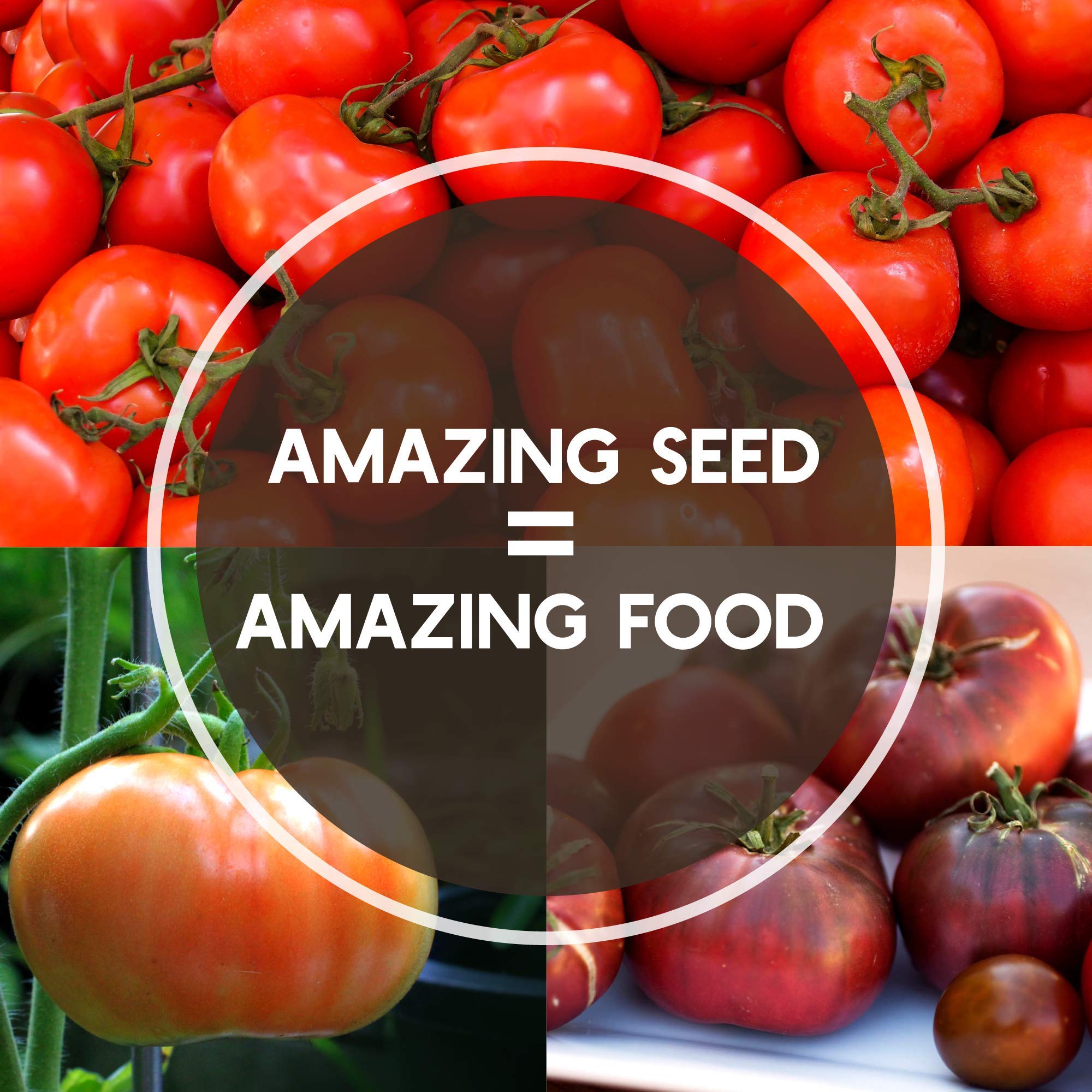 Currant Red Tomato Seeds - Non-GMO Heirloom Variety (4 Oz ~30,000 Seeds) - Solanum lycopersicum for Home Vegetable Gardens & Organic Farming - Perfect for Canning, Sauces, and Fresh Salads