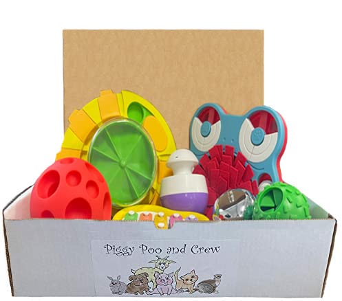 Pet Game Box - Mini Pig Box - Dog Box - Gift Box for Dogs & Small Pets (Green & Yellow Interactive Toy) - Fun Training & Enrichment Activity for Indoor Play