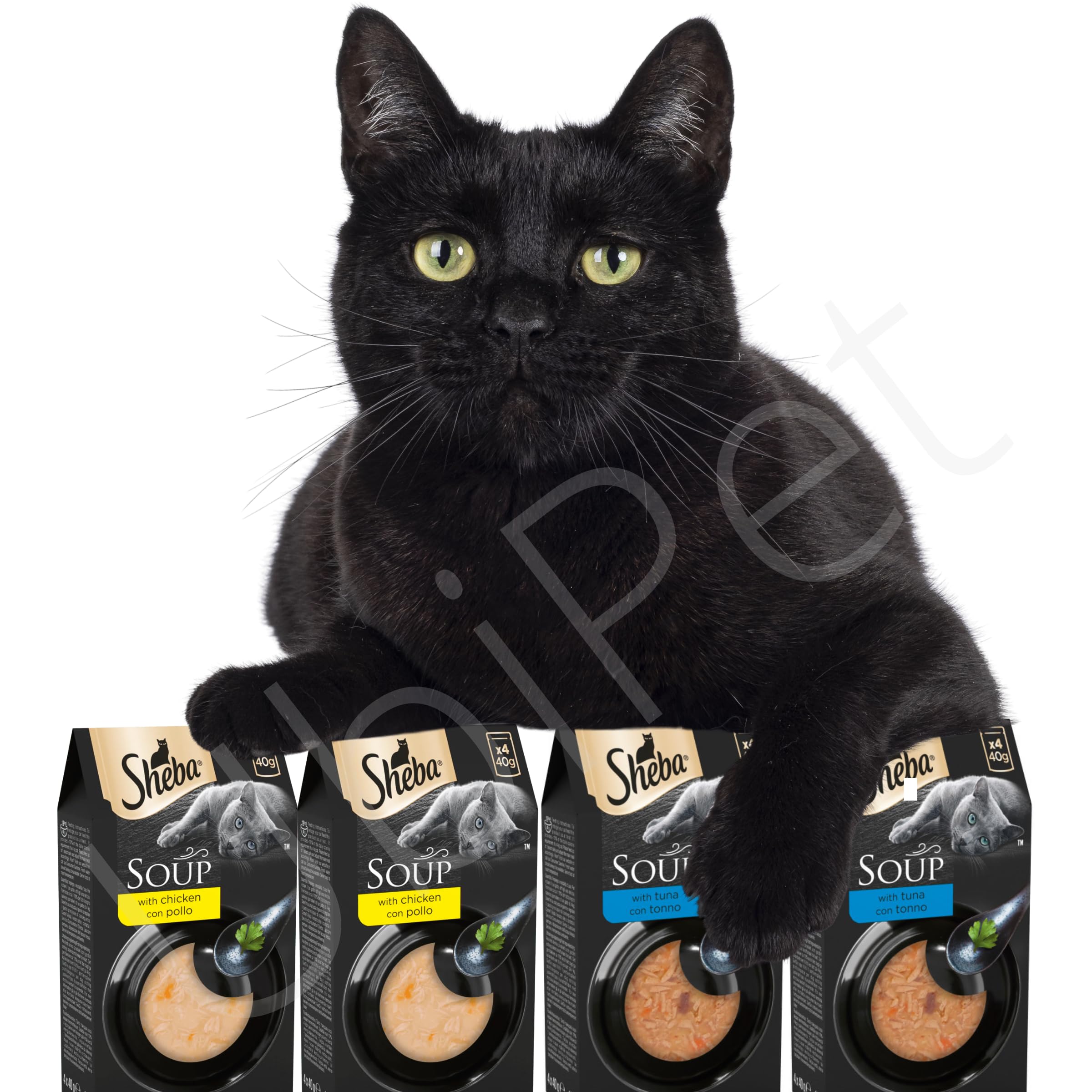 Premium Cat Soup Mini Bundle - Chicken & Tuna Flavor (16 Pouches x 40g) with Free Catnip & UbiPet Lint Roller - Wet Food Topper for Picky Eaters, Perfect for Travel & Daily Feeding